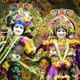 Daily Darshan