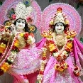 LIVE Darshan