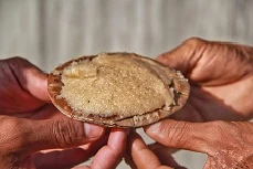 Prasadam
